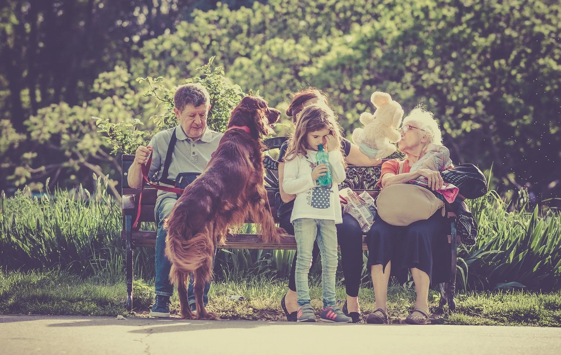 Mascota en el parque con la familia